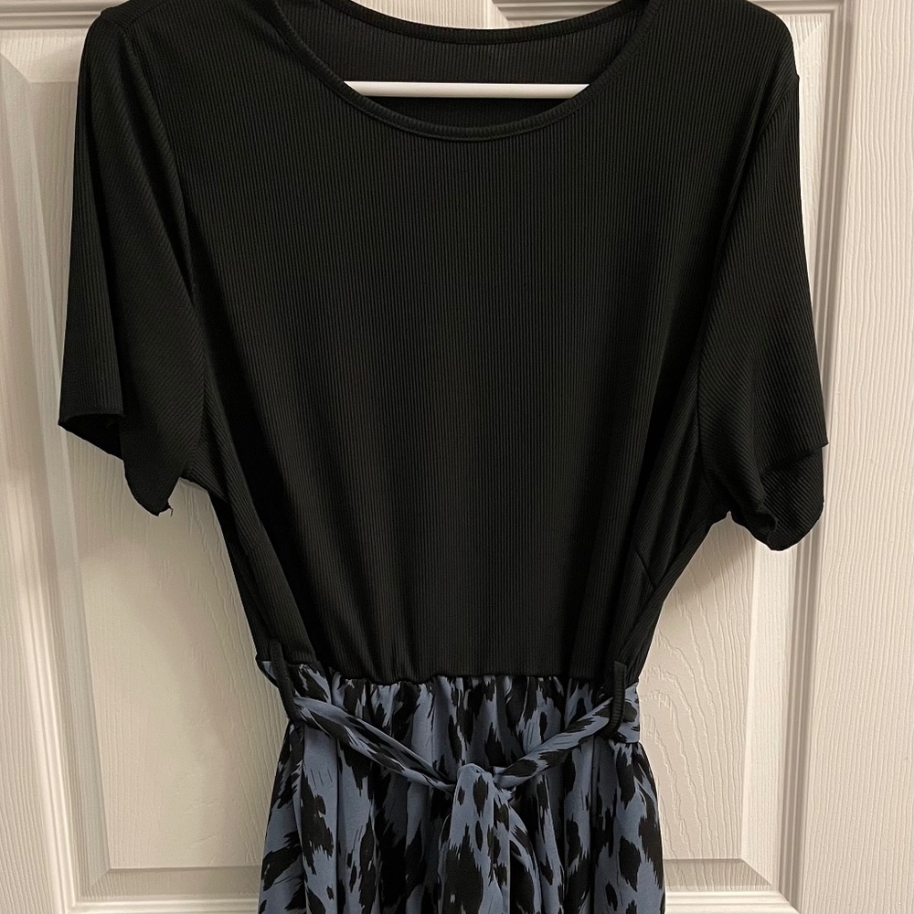 Plus Size Animal Print Dress